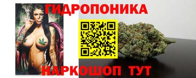 стафф Абакан