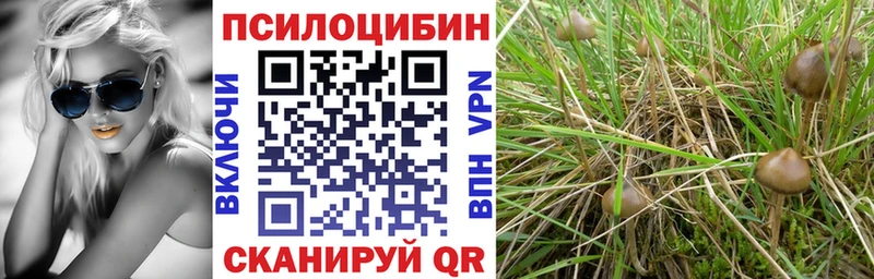 Купить  Менделеевск  Псилоцибиновые грибы мухоморы 