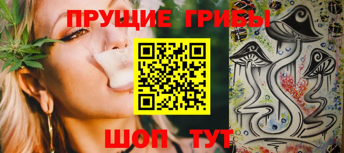 Галлюциногенные грибы Psilocybine cubensis  Вход с VPN  Менделеевск 