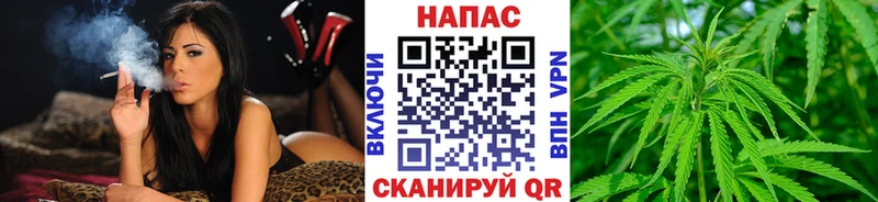 Марихуана сатива  Купить  Менделеевск 